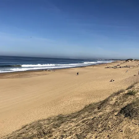 Les Dunes Du Marensin ラバンヌ